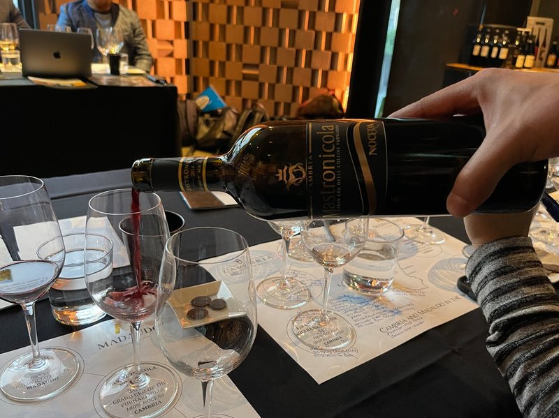 La Spin Winera App: Consigli e Recensioni per I Giocatori Italiani