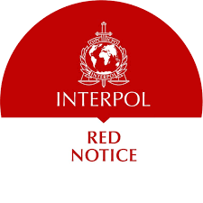Understanding Red Notice Removal Lawyers and Their Services